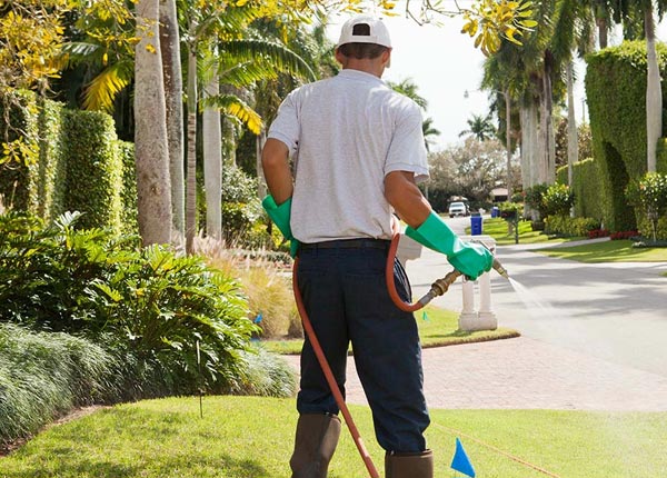 About Bretz WV Pest Control